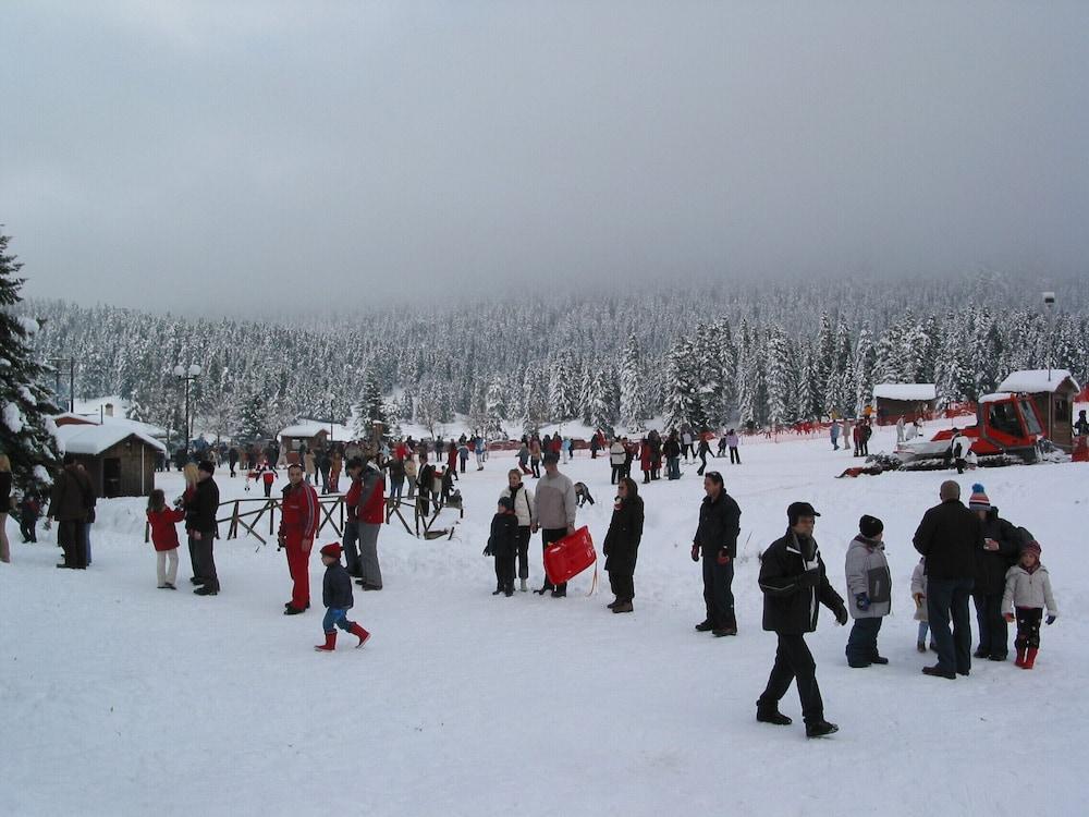 Mikri Arktos Hotel Eláti Екстериор снимка